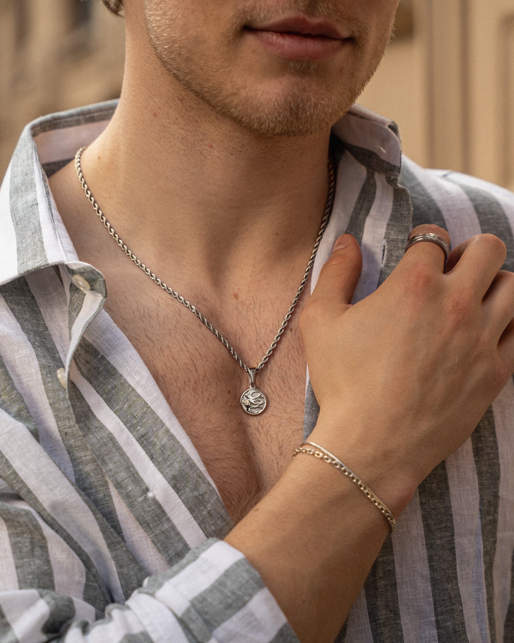 Swallow Silver